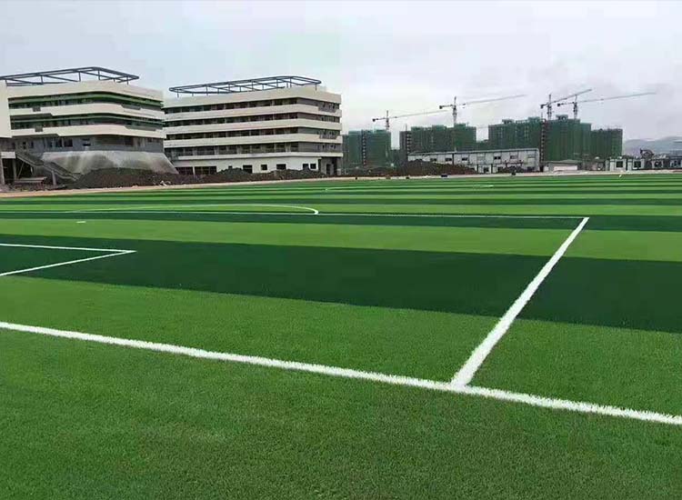 新国标足球场